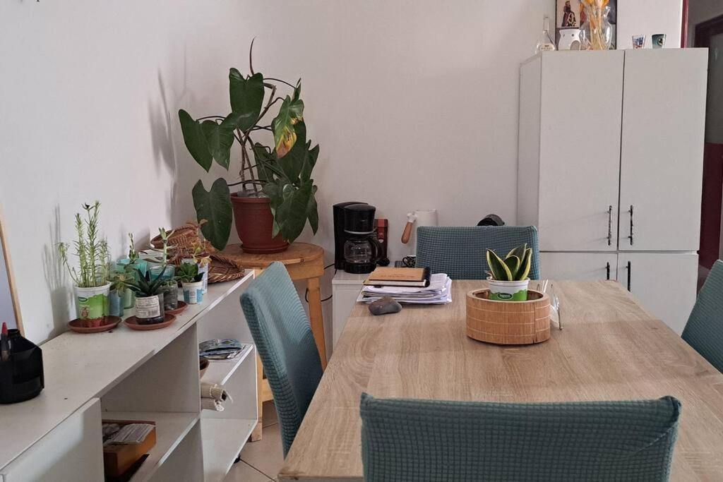 Mendes Family Homestay - B&B In The Heart Of Praia Buitenkant foto