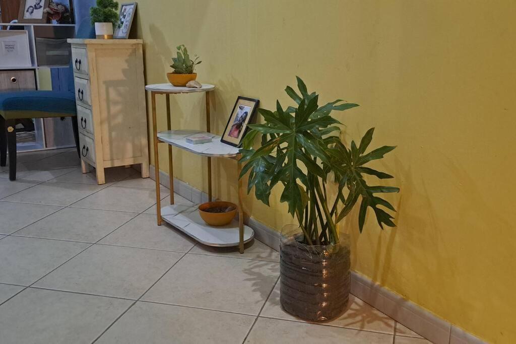 Mendes Family Homestay - B&B In The Heart Of Praia Buitenkant foto