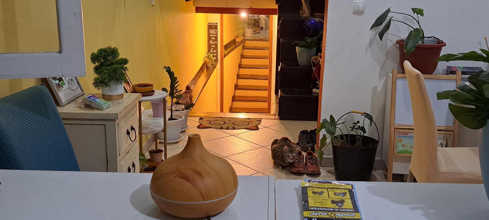 Mendes Family Homestay - B&B In The Heart Of Praia Buitenkant foto